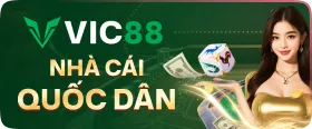 Banner VIC88