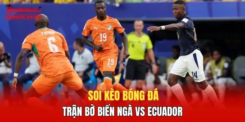 Soi kèo bóng đá trận Bờ Biển Ngà vs Ecuador